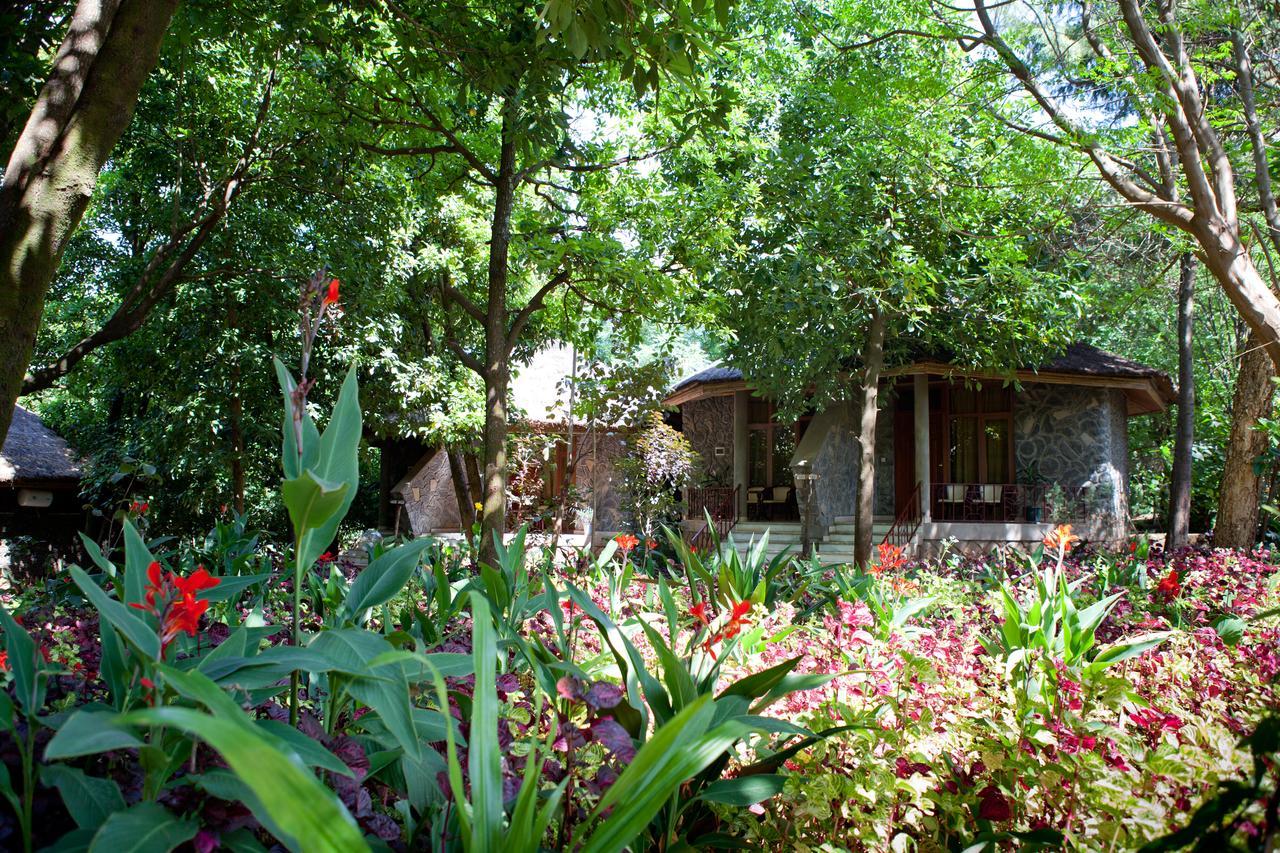 Abay Minch Lodge Bahir Dar Exterior photo