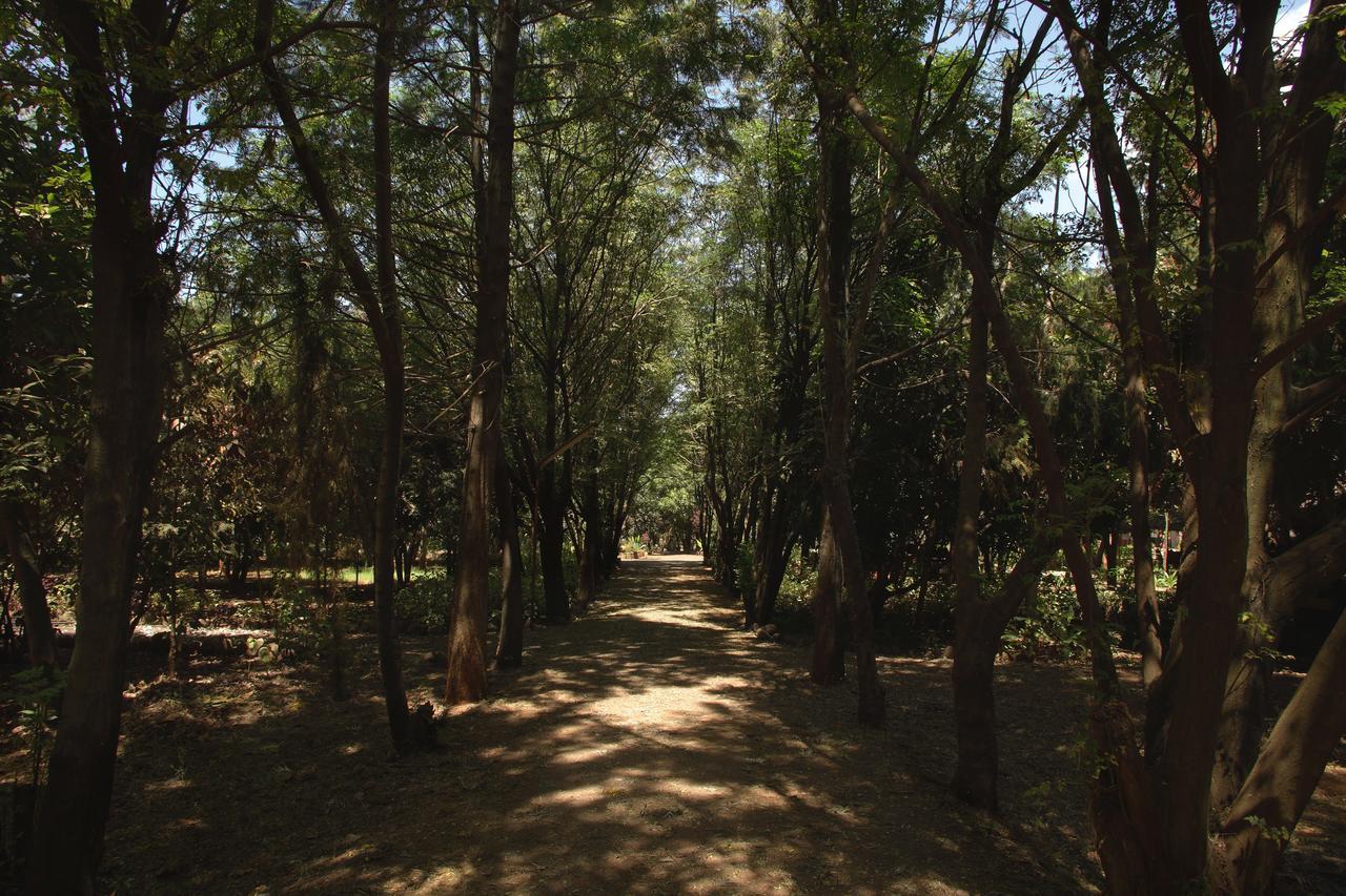 Abay Minch Lodge Bahir Dar Exterior photo