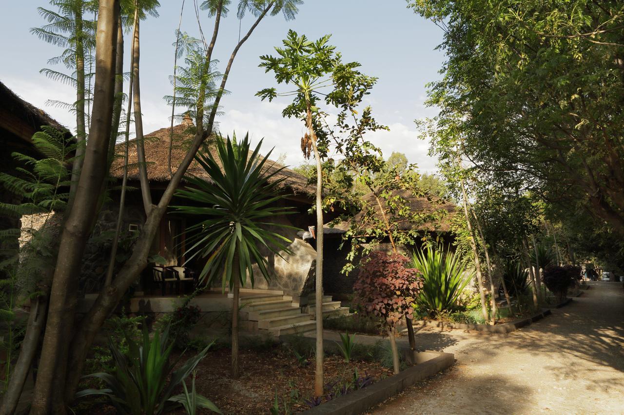 Abay Minch Lodge Bahir Dar Exterior photo