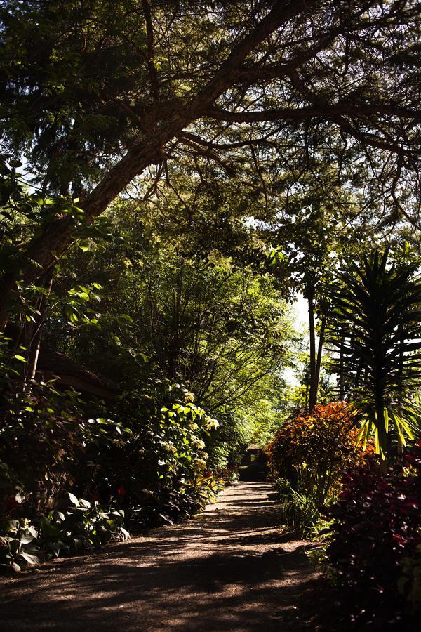 Abay Minch Lodge Bahir Dar Exterior photo
