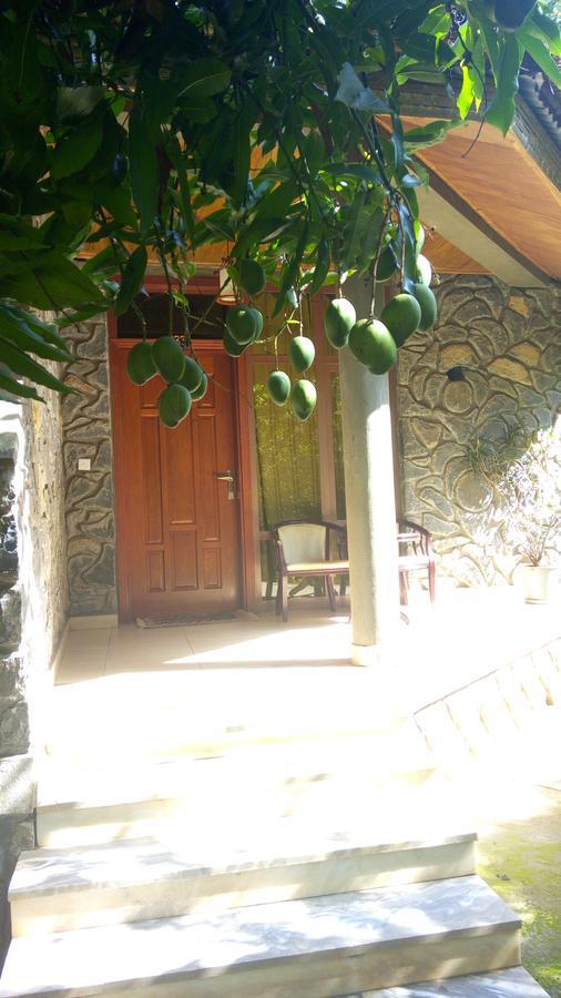 Abay Minch Lodge Bahir Dar Exterior photo